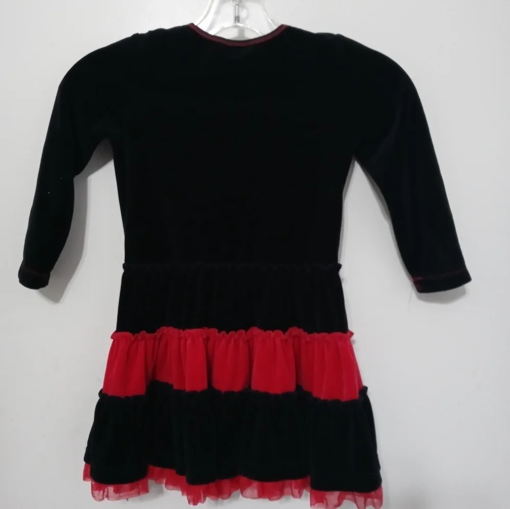 Hanna Andersson girls 4 Layered Long Sleeve Embroidered floral Velour Dress